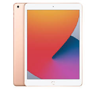 iPad 8